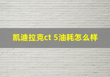 凯迪拉克ct 5油耗怎么样